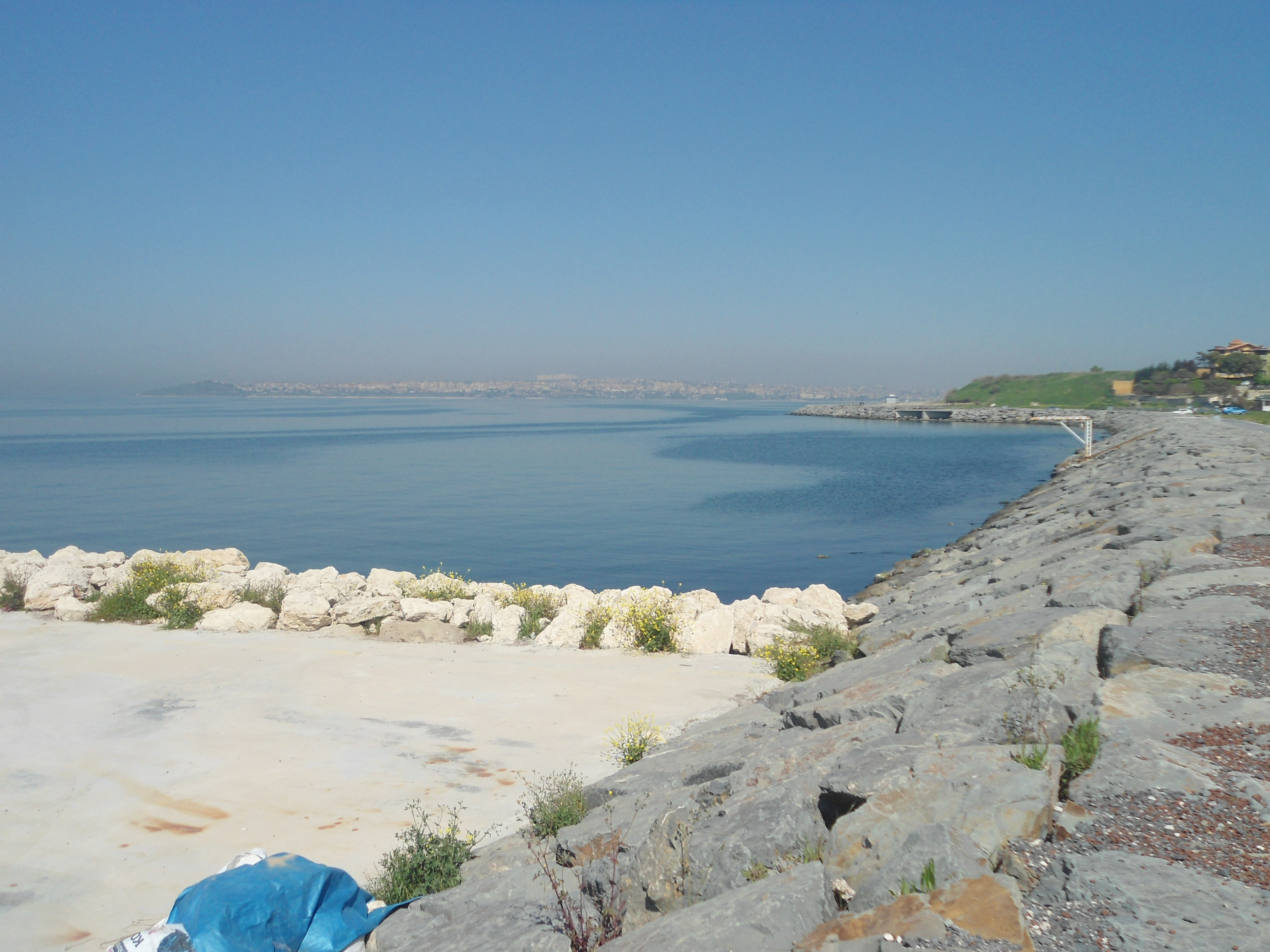 Beylikdüzü Halkı Balık Hali İstemiyor İmza Kampanyası