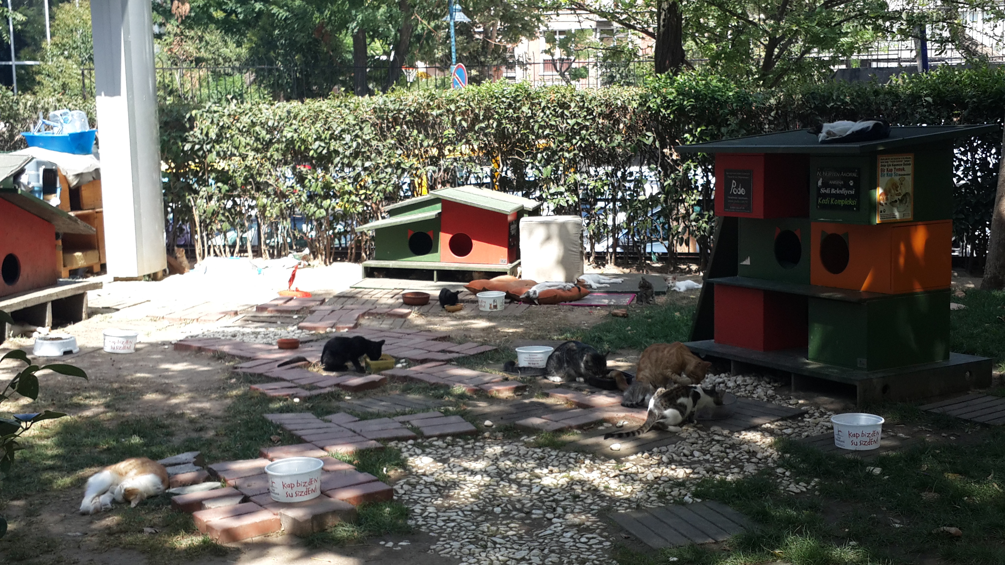 Kedi Parkları / Kedi köşeleri