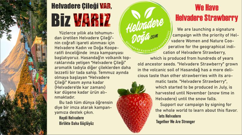 Helvadere Çileği VAR, Biz VARIZ