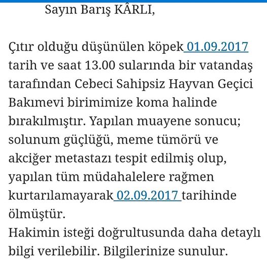 İBB: ÇITIR'I GERİ İSTİYORUZ!