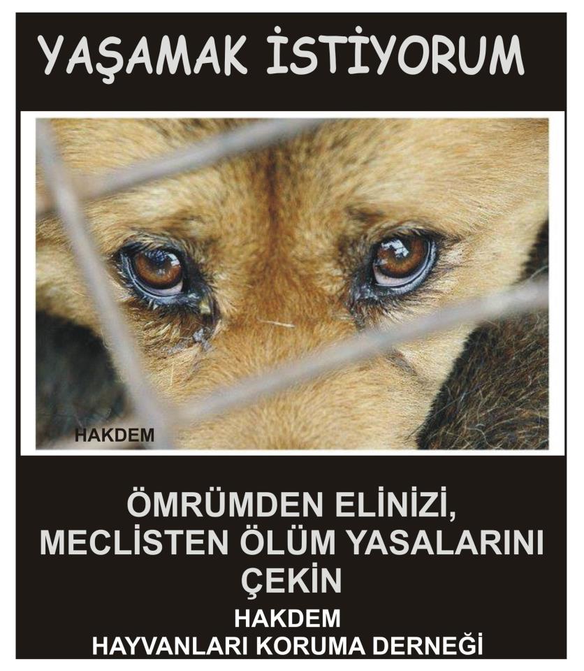 Yaşamak istiyorum...