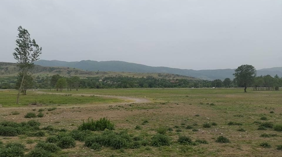 Beton değil, orman için