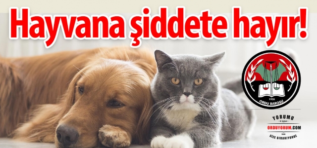 Hayvana Şiddet Suç Sayılmalıdır! 