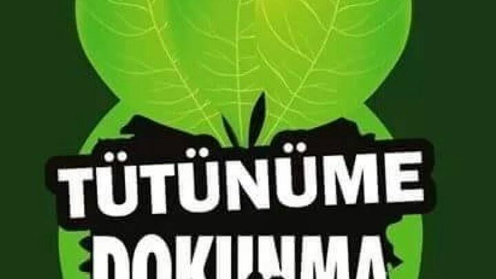 TÜTÜNÜME DOKUNMA 