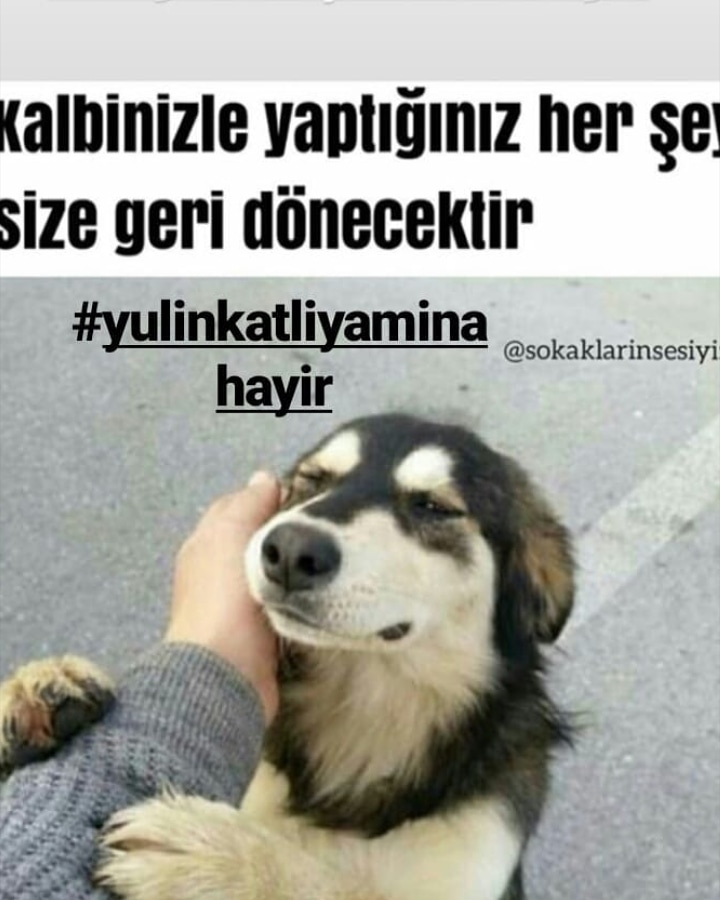 Yulin katliamına sessiz kalmayın