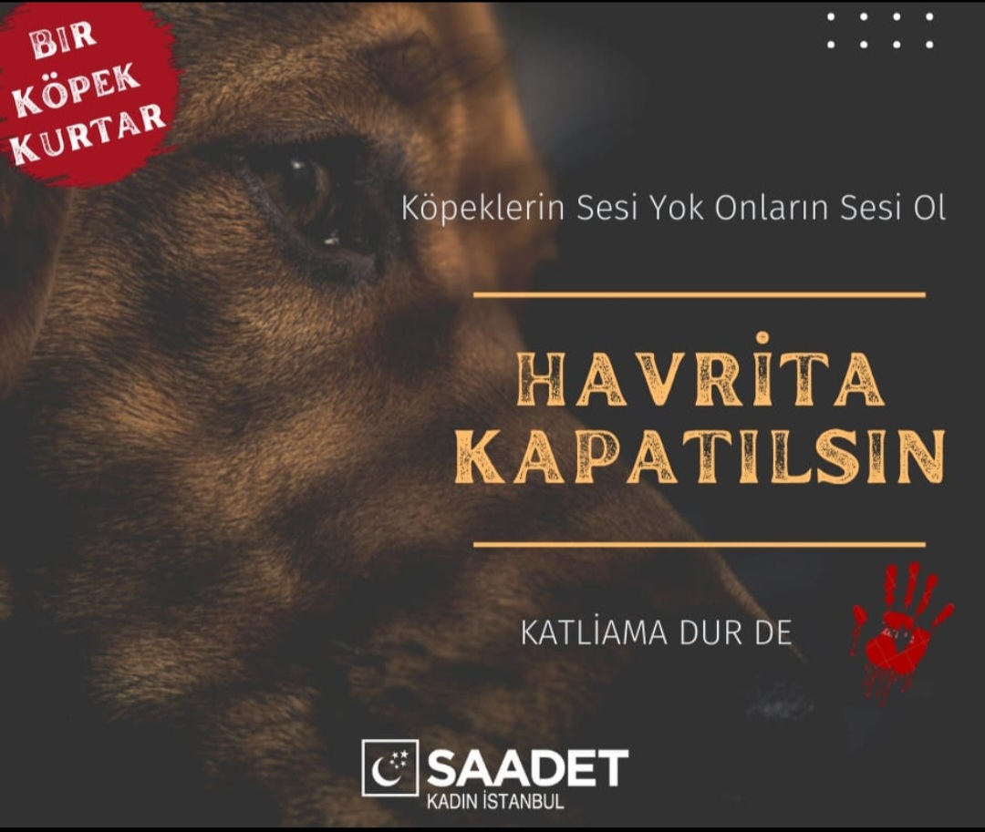 HAVRİTA KAPATILSIN