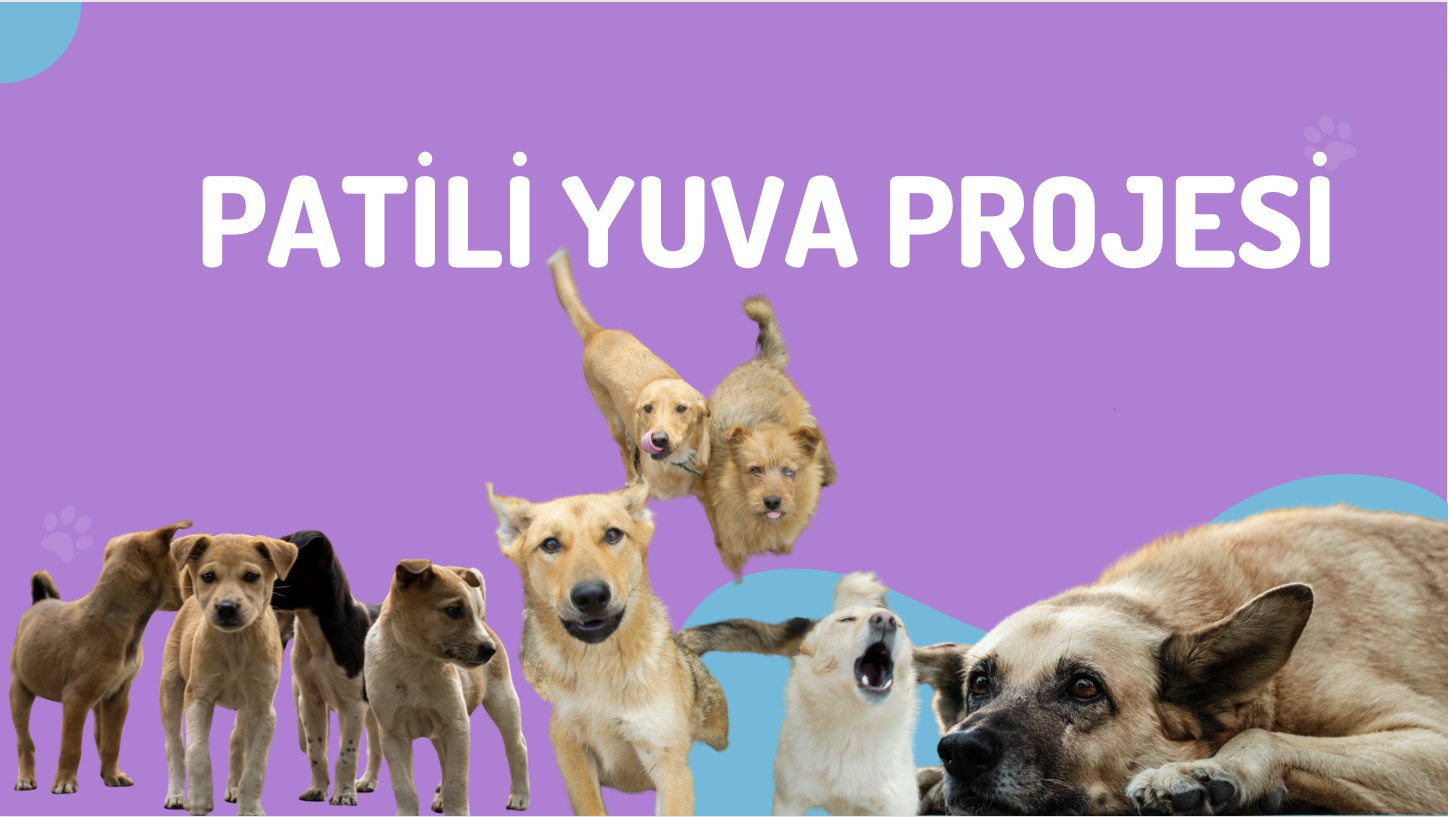 Patili Yuva Projesi