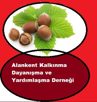 ordu buyuk sehırse alankent ilçe olmalıdır