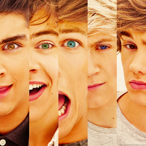 1D TÜRKİYE'YE GELSİN!!!