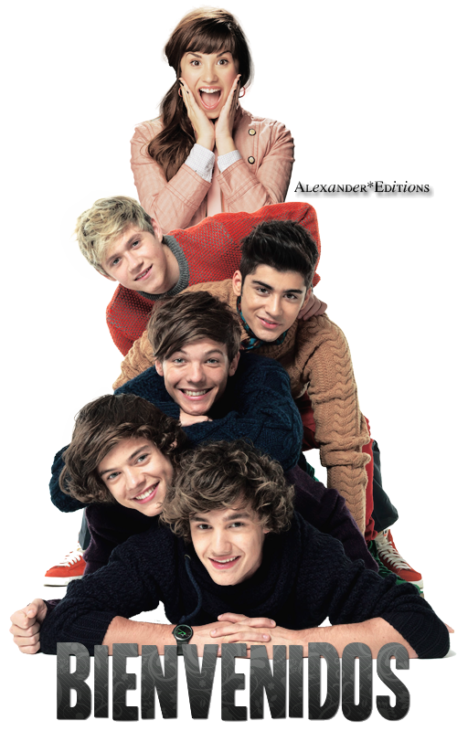 #OneDirectionTürkiye'yeGelsin