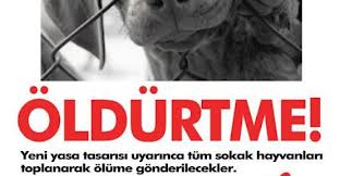 ÖLÜM YASASINA HAYIR ...