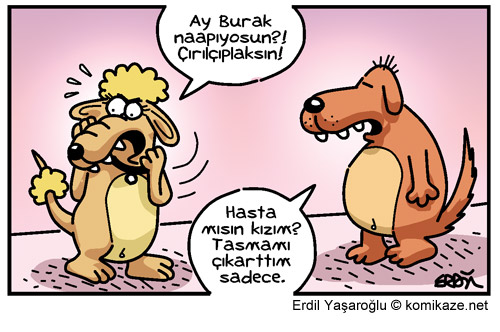 TRTYEŞİLÇAMHD TELEVİZYON U kur bize abidik kubidik saçma kanallar açma