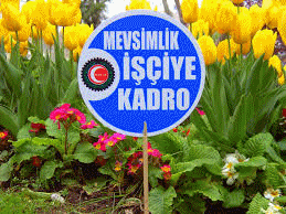 KAMUDA 5 AY 29 SÜRESİ UZATILSIN YADA KADRO VERİLSİN.