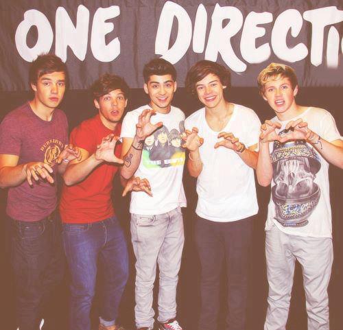 One Direction Türkiye'ye gelsin
