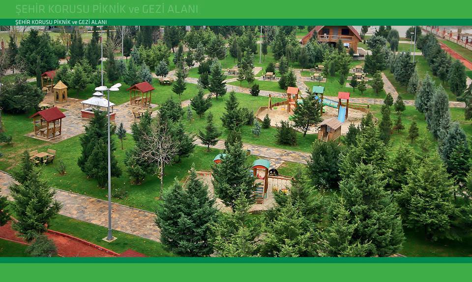 NEVŞEHİR SUVERMEZ KASABASI DERNEĞİ ALINKAYA ŞÖLEN VE ORMAN ALANI PROJESİNİ DESTEKLİYORUM.
