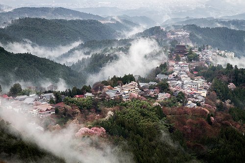 KOUKİ (KOUCHİ)TANEGESAN ....