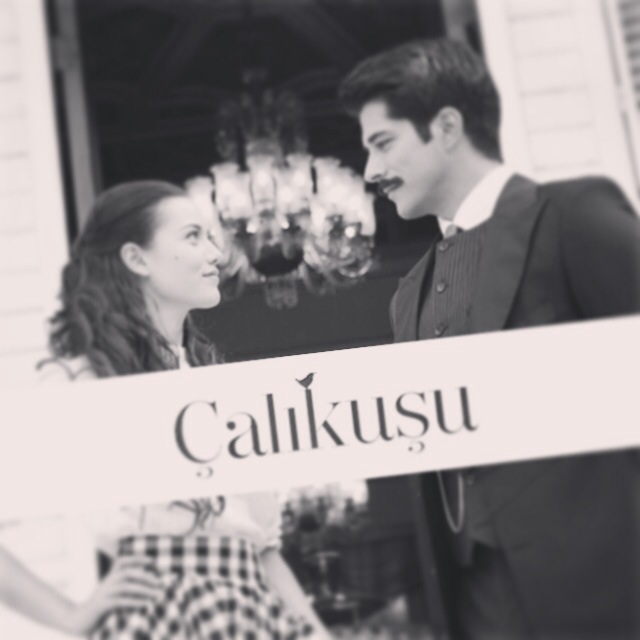 Calikusu Dizisi FINAL Yerine SEZON FINAL Yapsinlar !!!