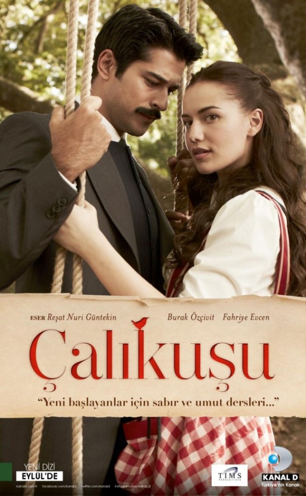 ÇALIKUŞU SEVİLİYORMU ?