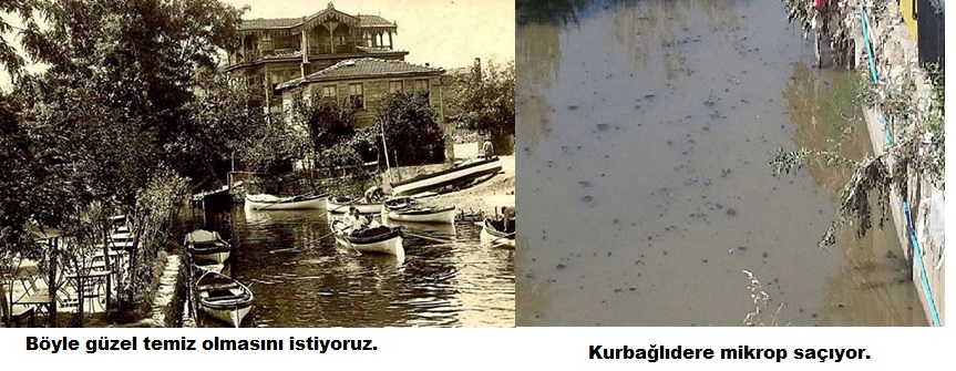Kadıköy Kurbağlıderenin acilen temizlenmesi