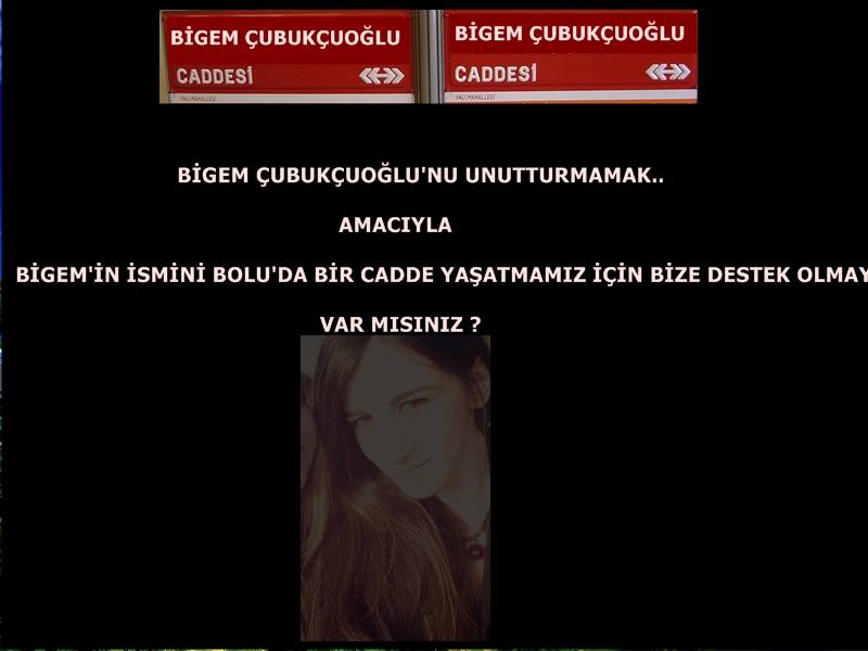 @BigemÇubukçuoğlu Caddesi istiyoruz !