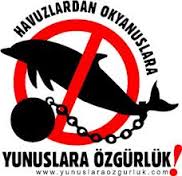 yunus parkları kapansın