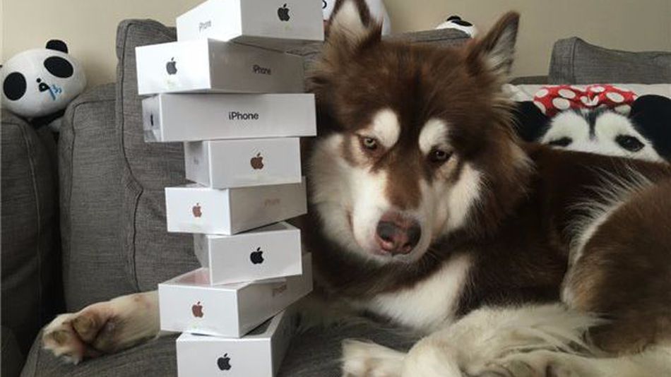 Beyza'ya İphone 7 alınsın.