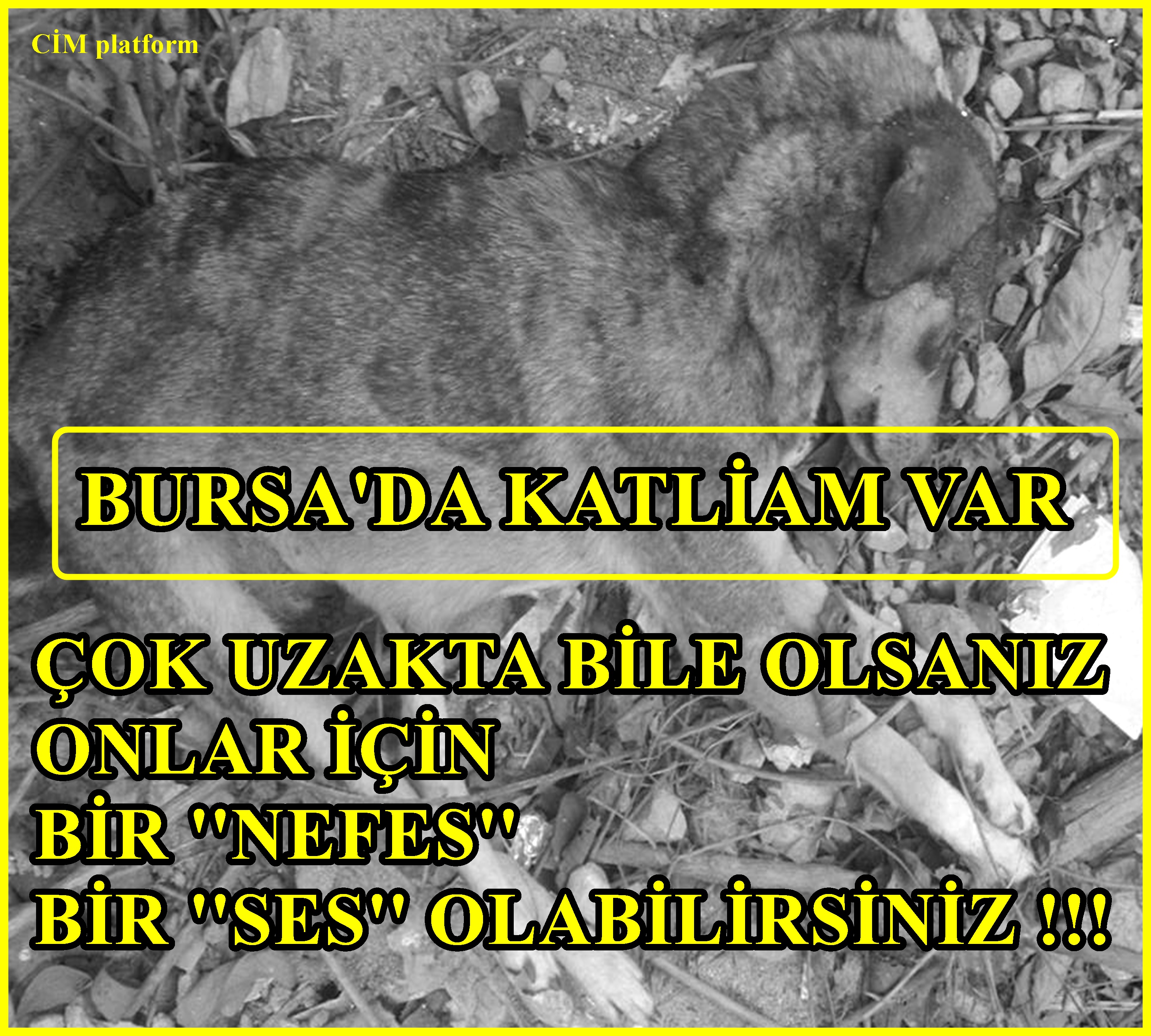 BURSA'DA KATLİAM SONA ERSİN