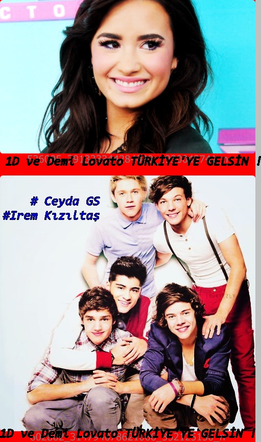 1D ve DEMİ LOVATO -TÜRKİYE'YE GELSİN ! <3