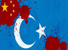 ÇİN ZULMÜNE HAYIR @türkçüleruyanın