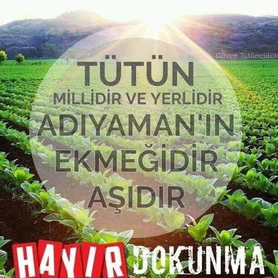 TÜTÜNÜME DOKUNMA