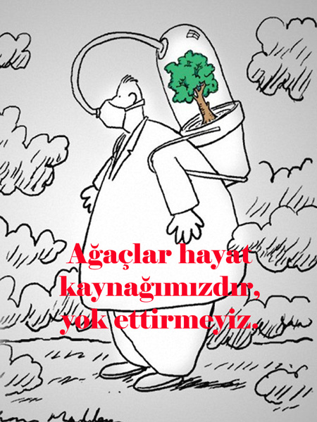 Antakya Lisesi Bahçesindeki Ağaçları Yaşatalım