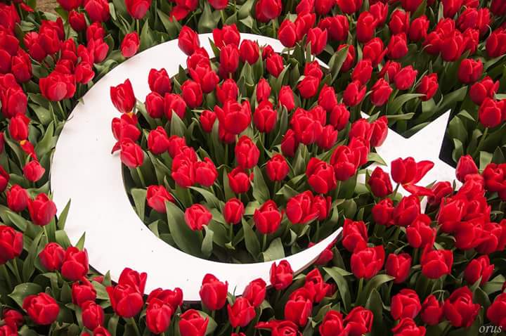 Görevinden alınan FUAT ÖNCÜ yü tekrar görevinde görmek istiyoruz