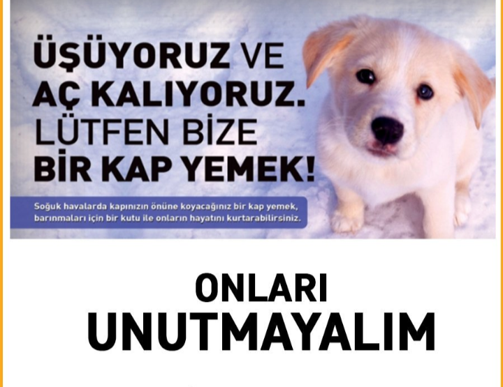 Hayvanlara Mama Desteği