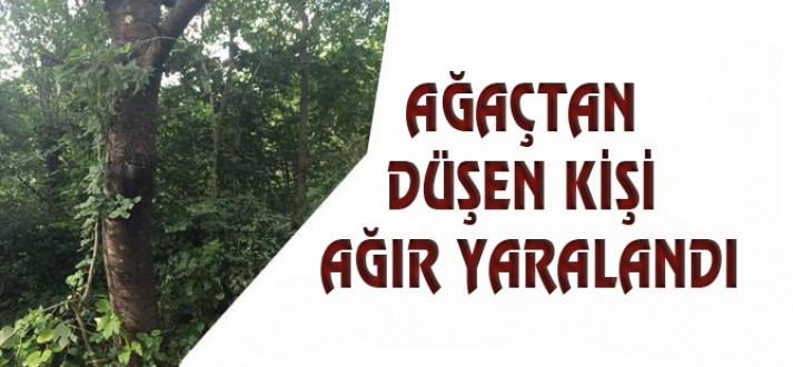 Felç olan amcamız için yardımlarınızı bekliyoruz