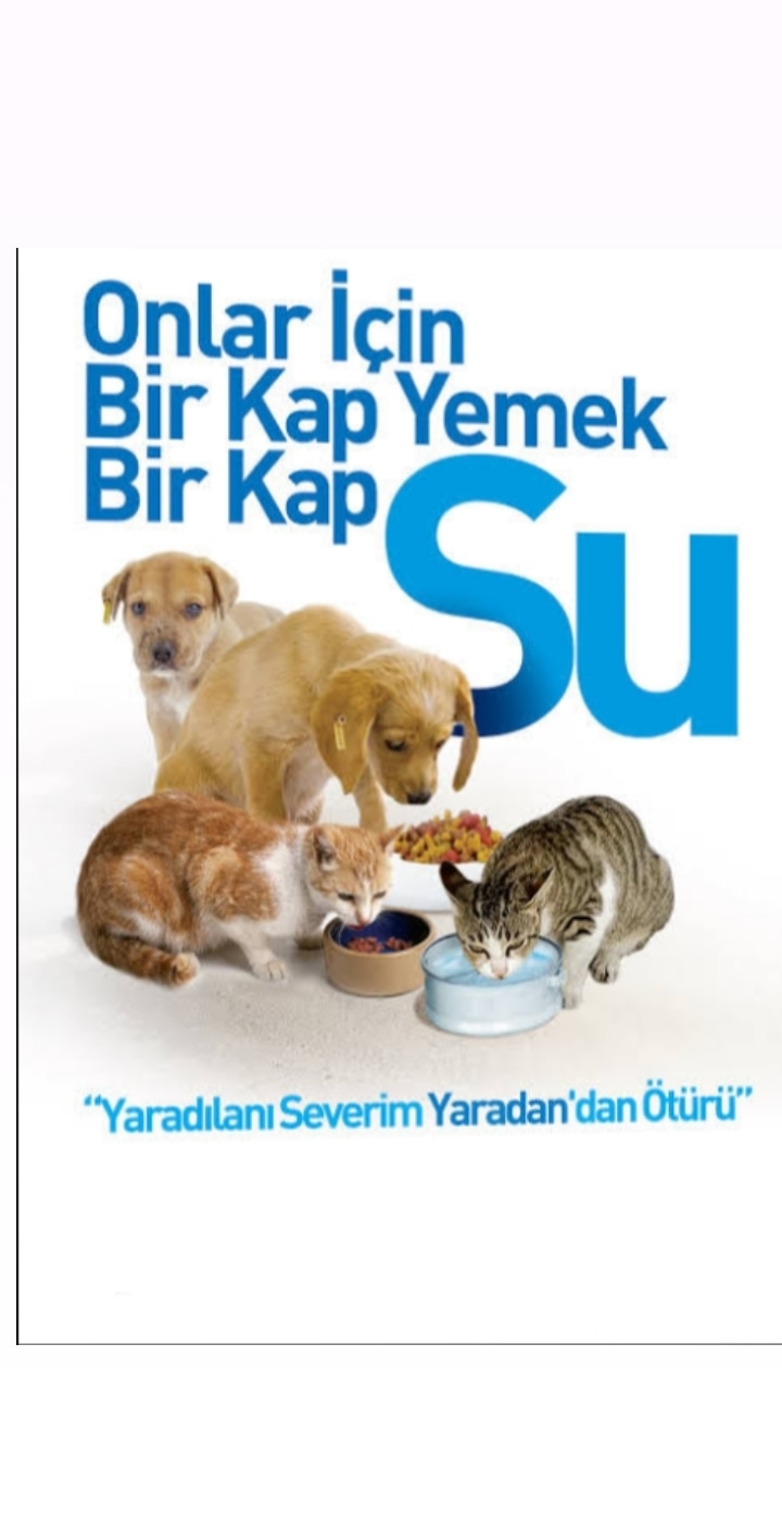 Hayvanlar icin el ele